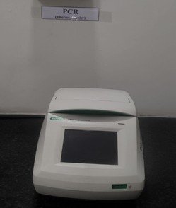 PCR