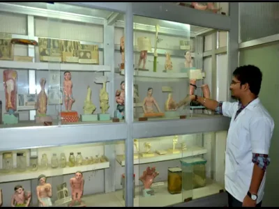 MUSEUM