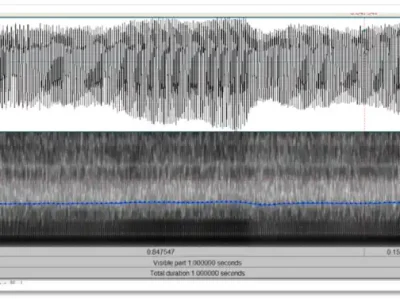 VOICE LAB