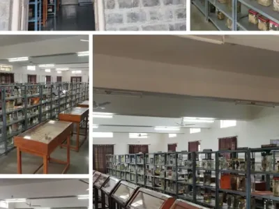 MUSEUM