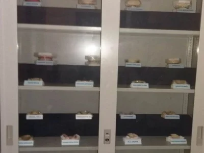 MUSEUM